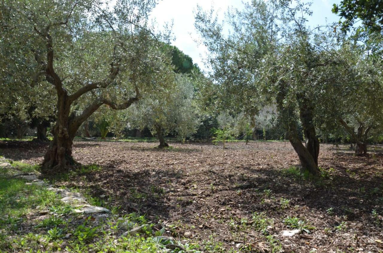 Villa Alchea Locazione Turistica Modica Exterior foto